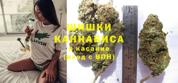 спайс Алексин